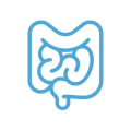 noun_intestines_666932